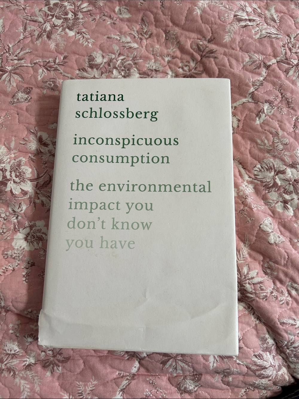 Inconspicuous Consumption by Tatiana Schlossberg